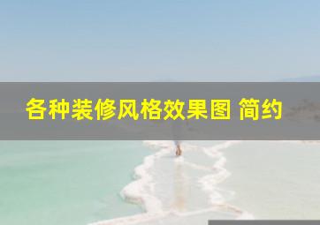 各种装修风格效果图 简约